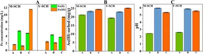 Adsorption characteristics of As(III) by schwertmannite: new findings in mineral-phase transformation and microbial effects